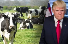 Trump ogłosił cła. Jak uderzy to w polskich rolników?